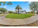 Landscaped yard with a large palm tree and concrete walkway at 1383 Glengarry Dr, Palm Harbor, FL 34684