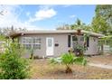 Gray house with white door and palm tree at 1642 49Th N Ave, St Petersburg, FL 33714