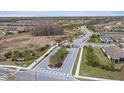 Entrance to community with palm trees and landscaped entryway at 11465 Bitola Dr, Odessa, FL 33556