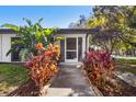 Welcoming front entrance with lush tropical landscaping at 271 49Th N St, St Petersburg, FL 33710