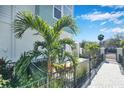 Landscaped side yard with palm trees and a walkway at 2819 1St S Ave, St Petersburg, FL 33712