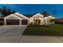 Stunning home exterior at night, beautifully lit and landscaped at 6209 Nimes Ct, Lutz, FL 33558