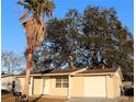 Tan house with attached garage, and large oak tree in front yard at 9116 Chantilly Ln, Port Richey, FL 34668
