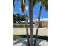 Landscaped front yard with palm trees and spacious driveway at 2 Brightwaters Ne Cir, St Petersburg, FL 33704