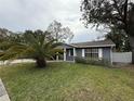 Gray house with palm tree and well-maintained lawn at 8307 Boxwood Dr, Tampa, FL 33615