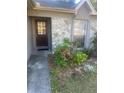 House entrance with stone facade, a dark brown door, and landscaping at 8328 Clermont St, Tampa, FL 33637