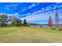 Scenic view of a tranquil lakefront property with lush greenery and a beautiful sky at 10929 Brooksnest Ct, Lithia, FL 33547
