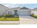 One-story home with gray siding, teal door, and landscaped lawn at 31814 Oyster Trellis Ln, Wesley Chapel, FL 33545