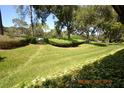 Landscaped yard with lush greenery and manicured lawn at 36750 Us Highway 19 N # 23120, Palm Harbor, FL 34684