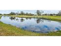 Serene pond with a wooden dock and lush greenery at 1933 Sterling Glen Ct, Sun City Center, FL 33573