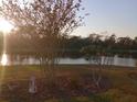 Scenic backyard lake view with lush landscaping at 1950 Sterling Glen Ct, Sun City Center, FL 33573