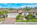 One-story house with a brick driveway and lush landscaping at 20105 Umbria Hill Dr, Tampa, FL 33647