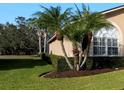 House exterior showcasing a palm tree and well-maintained hedges at 2102 Golf Manor Blvd, Valrico, FL 33596