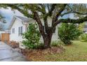 House exterior showcasing a large tree and walkway at 310 W Hilda St, Tampa, FL 33603