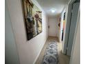 Bright hallway showcasing artwork and wood-look floors at 7533 Pitch Pine Cir # 18, Tampa, FL 33617