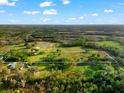 Aerial view of a large property with lush greenery, outlining boundaries and revealing the homesite at 10601 Paul S Buchman, Plant City, FL 33565