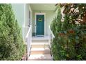 Front entrance with teal door, white railings, and lush landscaping at 11125 Winthrop Lake Dr, Riverview, FL 33578