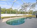 Screened-in pool with a large backyard at 5537 Terrain De Golf Dr, Lutz, FL 33558