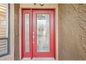 Red front door with glass panels adds curb appeal at 13810 Mill Cove Cir, Tampa, FL 33618