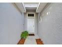 Front entry with white door and potted plant at 19304 Garden Quilt Cir, Lutz, FL 33558