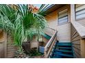 Exterior stairs and a palm tree next to the condo building at 204 Lennox W Rd, Palm Harbor, FL 34683