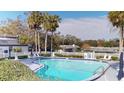 Relaxing community pool with palm trees and lounge chairs at 1237 N Mcmullen Booth Rd # 1237, Clearwater, FL 33759