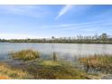 Scenic view of a tranquil lake with lush greenery at 18442 New London Ave, Land O Lakes, FL 34638