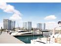 Luxury yachts docked at the marina with high-rise buildings in the background at 5120 Marina Way # 21501, Tampa, FL 33611