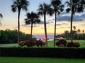 Scenic sunset view with palm trees and bridge at 2616 Cove Cay Dr # 102, Clearwater, FL 33760