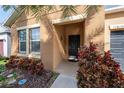 Front entry of the house with dark door and red plants at 11810 Winterset Cove Dr, Riverview, FL 33579