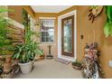 Welcoming front entry with stone accents and potted plants at 17443 Glenapp Dr, Land O Lakes, FL 34638