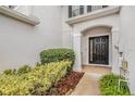 Inviting front entry with black door and lush landscaping at 8110 Hampton View Ln, Tampa, FL 33647