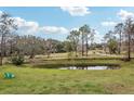 Serene pond view with green grass and two teal chairs at 3009 Jim Johnson Rd, Plant City, FL 33566