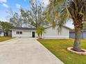 Newly renovated home with a large driveway and mature palm trees at 4920 Steel Dust Ln, Lutz, FL 33559