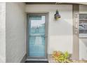 Light blue front door with glass panels and exterior light at 5117 Lesher Ct, Tampa, FL 33624