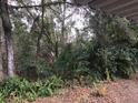 View of wooded area behind property at 2060 Marilyn St # 103, Clearwater, FL 33765