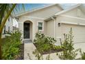 Front yard with walkway leading to house entrance at 9228 Forge Breeze Loop Loop, Wesley Chapel, FL 33545