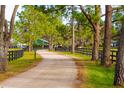 Long tree-lined driveway leading to the property at 18029 Lake Reflections Blvd, Lutz, FL 33558