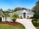 Attractive home with gray exterior, palm trees, and a large driveway at 5253 Mira Vista Dr, Palm Harbor, FL 34685