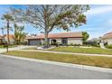 Single-story house with tile roof, landscaping, and a large tree in front at 5809 Cruiser Way, Tampa, FL 33615