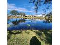 Tranquil lake view with reflection of homes and trees at 2241 Greenwich Dr # 2241, Sun City Center, FL 33573