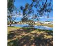 Picturesque view of a serene lake and lush landscape at 2241 Greenwich Dr # 68, Sun City Center, FL 33573