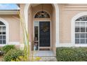 Front entrance with a black door and a wreath at 11424 Zenith Cir, Tampa, FL 33635