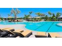 Expansive resort-style pool with multiple lounging areas and palm trees at 4330 Pullet Ct, Bradenton, FL 34211