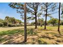 Green grassy area with mature trees in a neighborhood at 4333 Trails Dr # 10-1, Sarasota, FL 34232