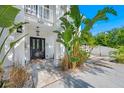 Front entrance with black door, stone tile, and lush tropical plants at 3031 W Asbury Pl, Tampa, FL 33611