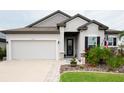 Curb appeal of a one-story home with gray siding, landscaping, and a two-car garage at 8203 Abalone Loop, Parrish, FL 34219