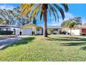 House exterior showcasing a lush green lawn and palm trees at 2589 Redwood Cir, Clearwater, FL 33763