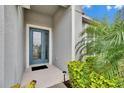 Modern teal front door with glass accents and welcoming walkway at 7102 Wesley Palm Way, Wesley Chapel, FL 33545