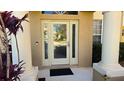 Light beige front door with glass panels and arched transom at 8999 Founders Cir, Palmetto, FL 34221